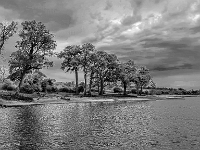 Rezerwat w Chobe (Botswana)